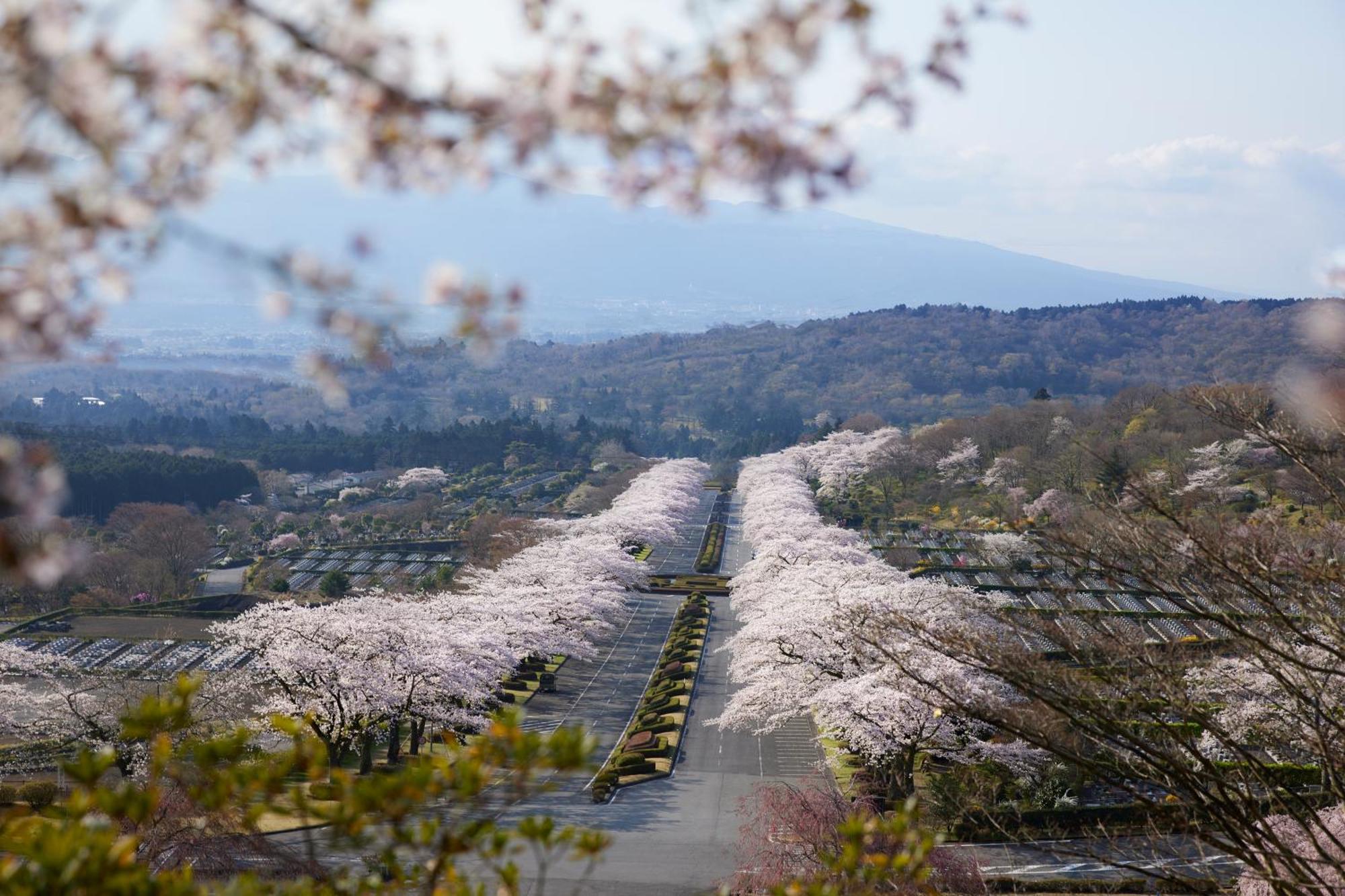 Fuji Speedway Hotel - The Unbound Collection By Hyatt Oyama  Dış mekan fotoğraf